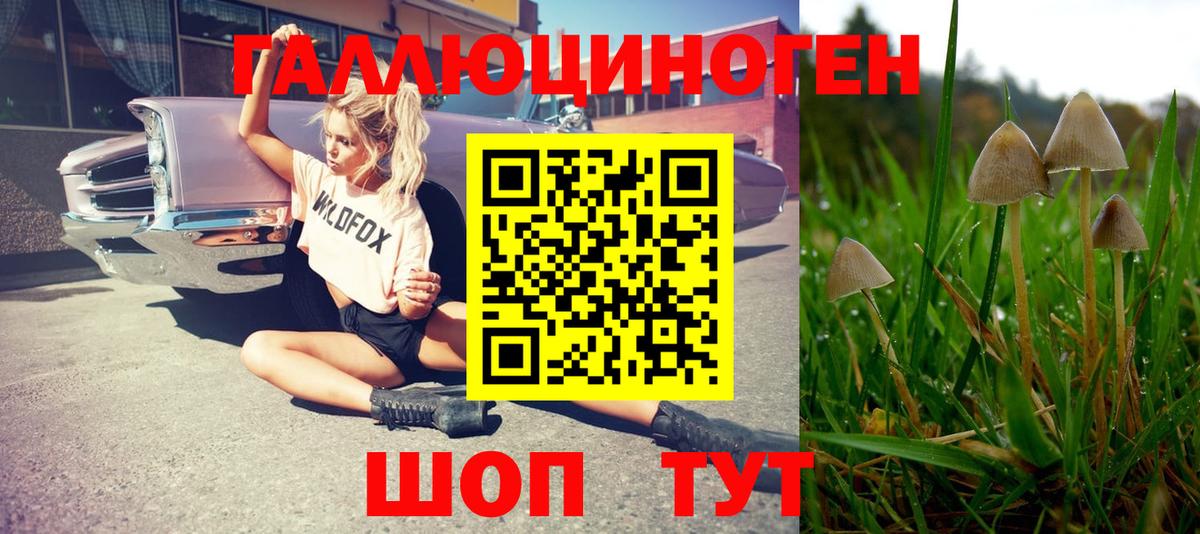 Среднеуральск  Псилоцибиновые грибы Psilocybine cubensis  Вход с VPN  Галлюциногенные грибы прущие грибы 